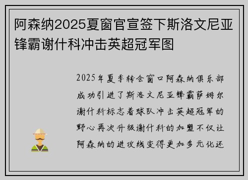 阿森纳2025夏窗官宣签下斯洛文尼亚锋霸谢什科冲击英超冠军图